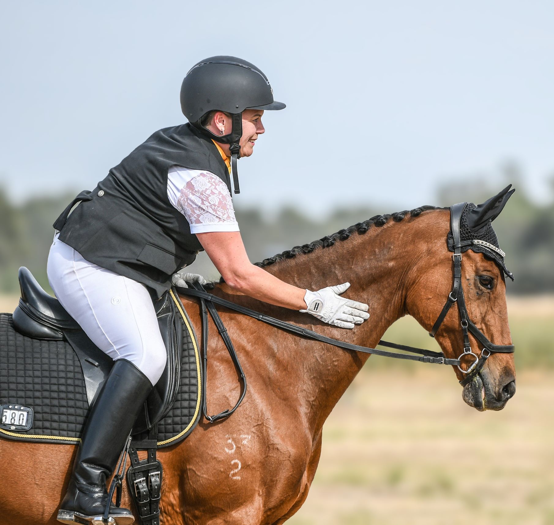 Australian Stock Horse foals for sale